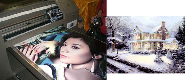 (370gsm)Water Resistant High Glossy Cotton Canvas application 1