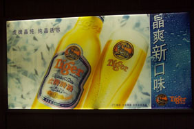 (440gsm-250*250-36*36) Glossy Coated Backlit 110.2